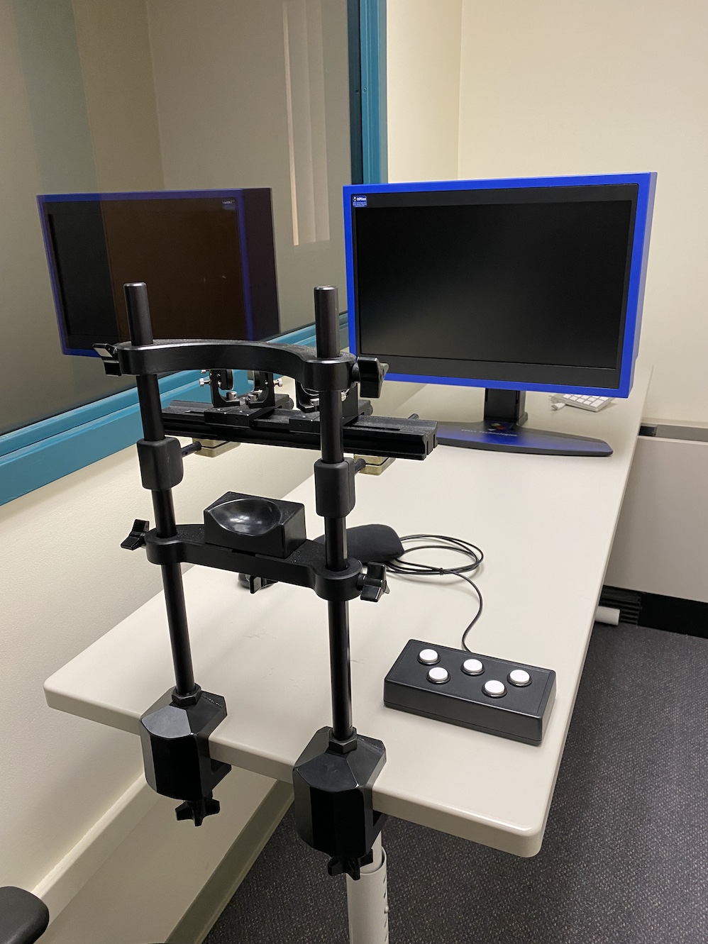 Stereoscope and fancy blue monitor